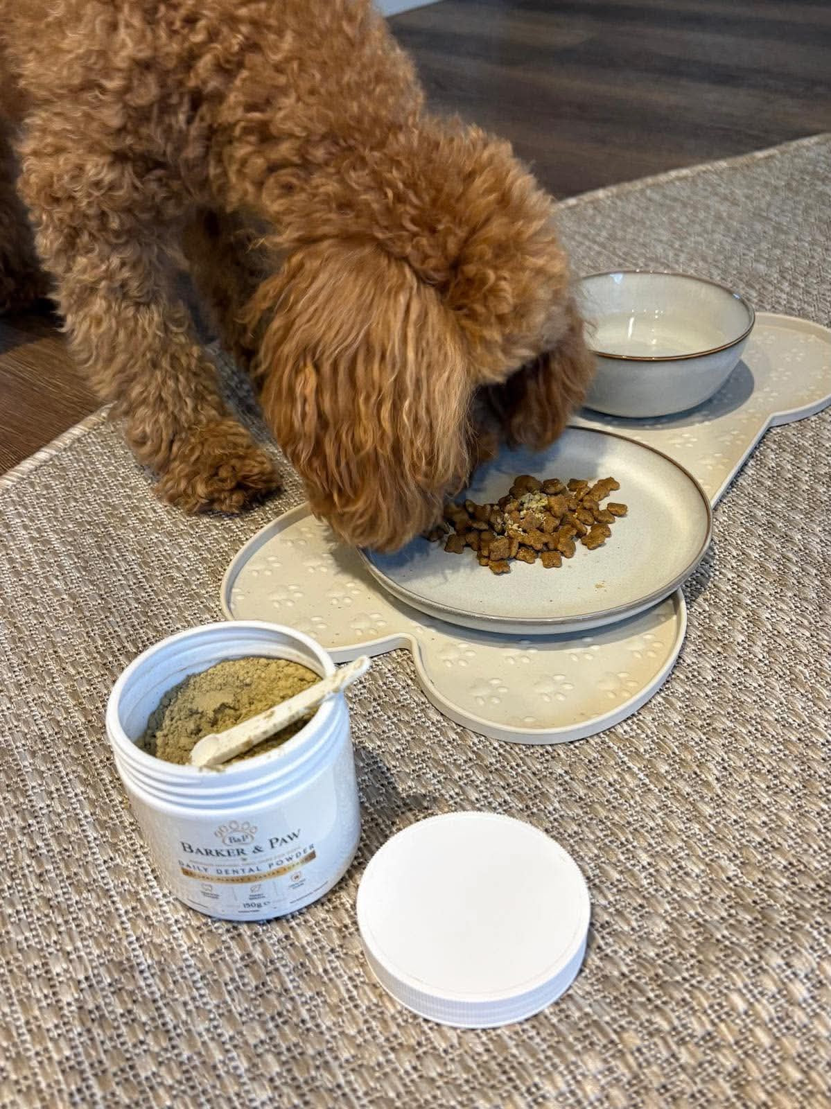 Can Natural Kelp Support Your Dog’s Dental Health? What Dog Owners Should Know