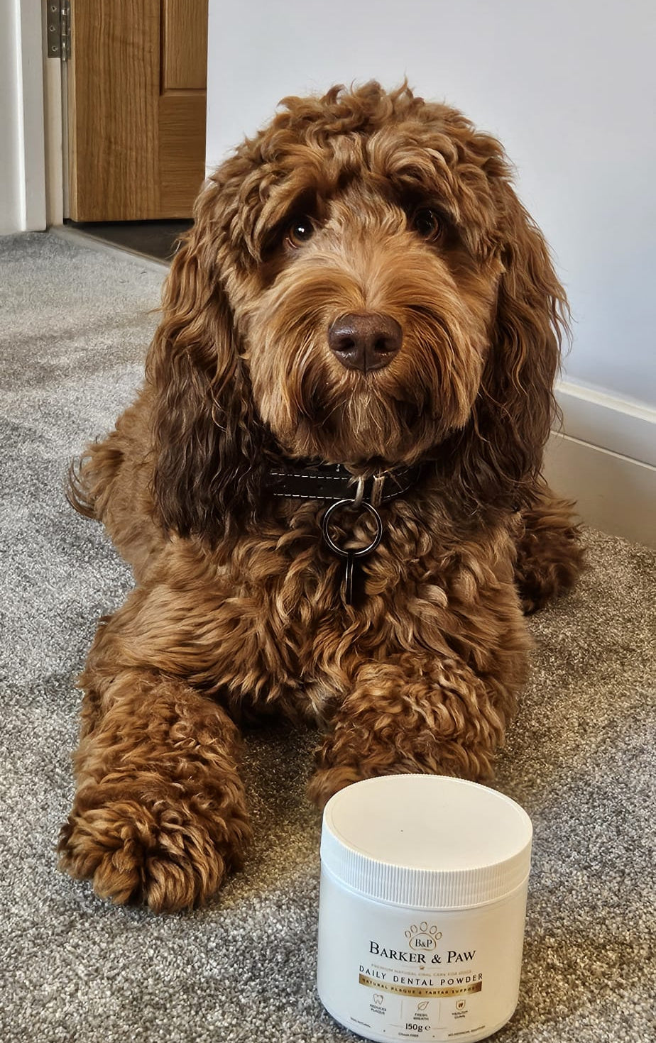 Barker & Paw Daily Dental Powder – 150g