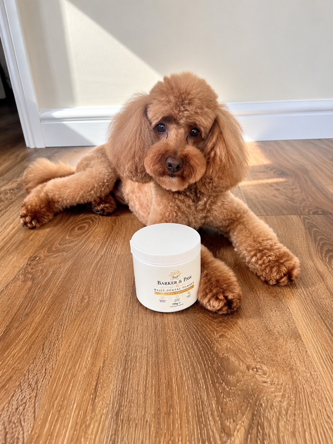 Barker & Paw Daily Dental Powder – 150g
